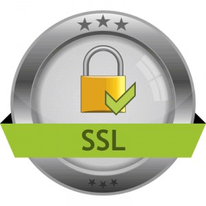 Transport Layer Security (TLS), Secure Sockets Layer (SSL)